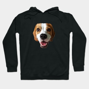 Beagle Dog Face Hoodie